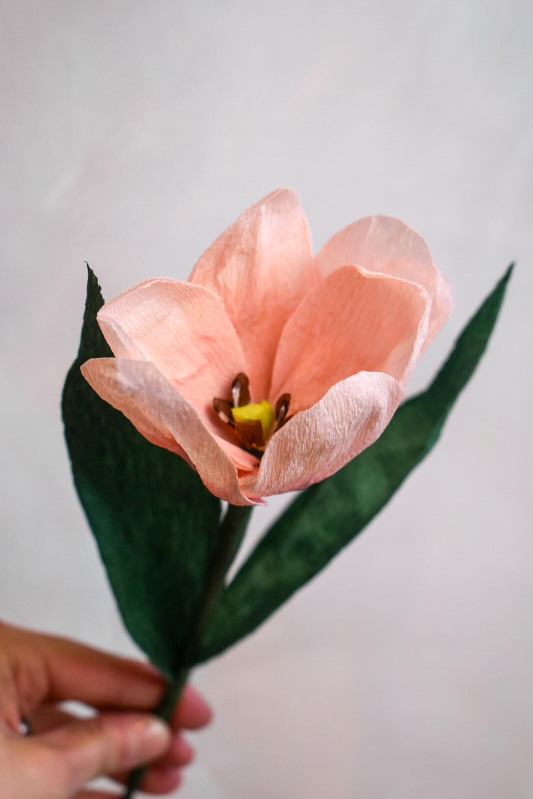 Tulipan od krep papira