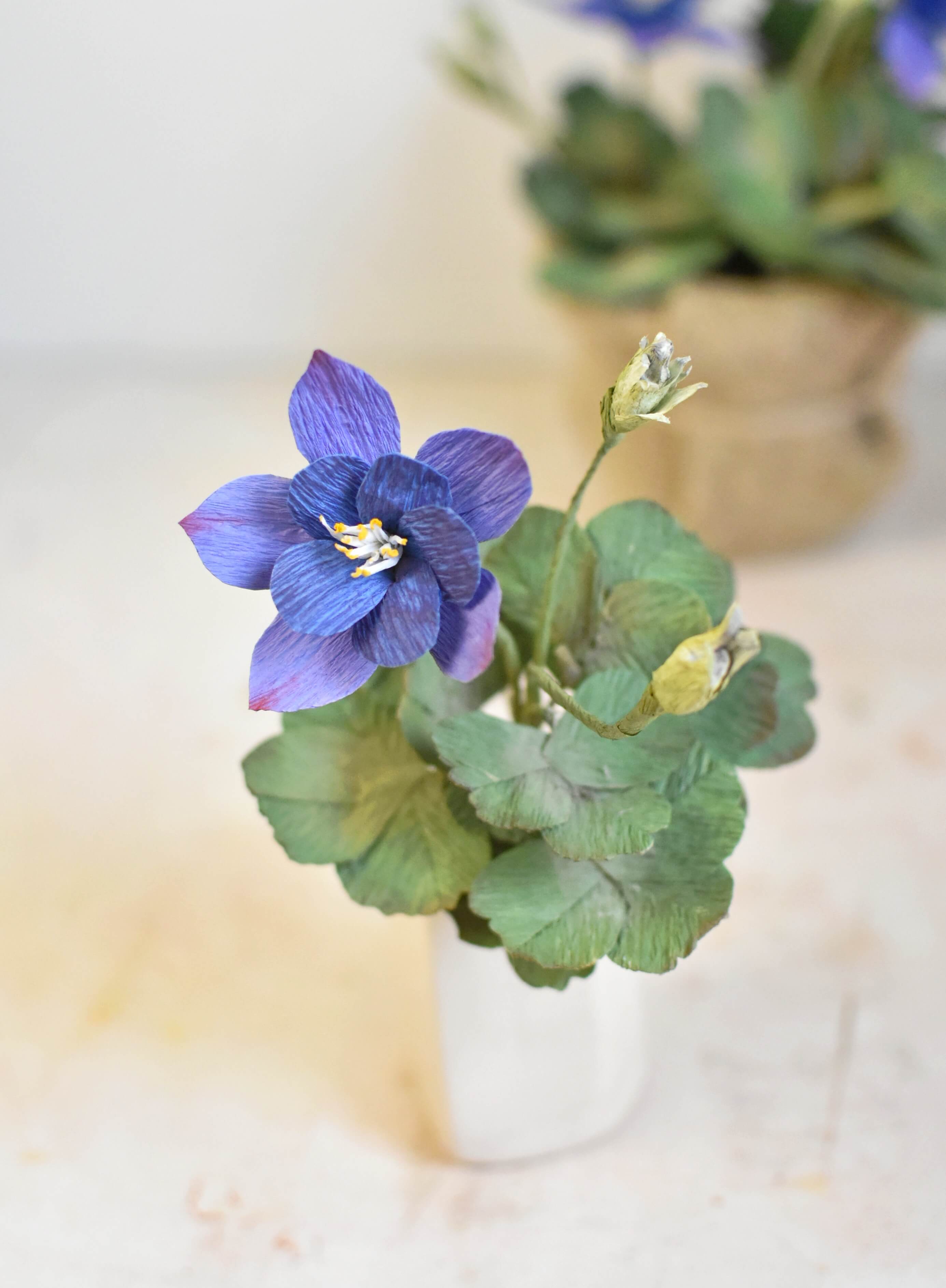 Kitajbelov pakujac (Aquilegia kitaibelii) od krep papira